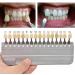 Iksvmsis Teeth Shade Guide | Professional 16-Color Tooth Whitening Set for Optimal Shade Matching & Whitening Care - Buy Online on GoSupps.com
