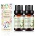 2-Pack Pine Needles Essential Oil - 100% Pure Organic Natural Plant (Pinus acus) Pine Needles Oil for Diffuser Aroma Spa Massage Yoga Perfume Body - 2x10ML