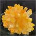 Phantom Quartz Crystal Cluster Specimen (Size : 500-550g) - Buy Online on GoSupps.com