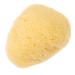 Gogogmee Natural Sponge Greece Facial Supplies Professional Facial Cleansing Sponge Sponges for Facials Facial Sponges Face Cleaning Pad Sponges for Face Cleansing Sponges Face Sponge