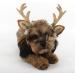 FLAdorepet Dog Elk Antler Reindeer Hat Cap Dog Cat Pet Christmas Costume Outfits Small Big Dog Hat Headwear Hair Grooming Accessories Brown S(for cat and small dog) - Buy Online on GoSupps.com