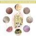 Moisturizer Set - 5PC Body & Face Moisturizer for Dry Skin | Best Hydrating Creams | International Shipping - Buy Online on GoSupps.com