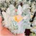 for 700g Natural Crystal Beautiful Flame Halo Quartz Crystal Cluster Specimen Crystal Cluster - Buy Online on GoSupps.com