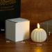 Flameless Pumpkin Candles - Battery Operated White Pumpkin Decor for Halloween (8pcs) | International Shipping - Buy Online on GoSupps.com