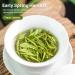 HQZM Premium White Tea from Hoge Berg 125g * 2 Fragrant Loose Leaf Tea First Harvest Tea - Buy Online on GoSupps.com