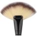 Makeup Brush Tools Fan Shape Brush Powder Foundation Brush Cosmetic Brush Black - Buy Online on GoSupps.com
