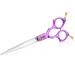 Dog Grooming Scissors Shears Professional Straight, Curved Hair Cutting Blending Texturizing Shears for Dogs Cat Pet Rainbow 440c Japanese Stainless Steel 6.5 Inches Purple Cutting