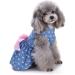 Mipcase Puppy Sundress Girl Dog Dresses Puppy Summer Clothes Girl Puppy Dress up Dogs Summer Doggie Dresses Dog Dresses for Small Dogs Shirt for Girls Dog Cloth for Summer Vest Watermelon L Picture 1 - Buy Online on GoSupps.com