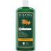LOGONA Naturkosmetik Repairing and nourishing shampoo for naturally healthy hair, suitable for damaged hair, repairing and caring shampoo with vegan formula with organic sea buckthorn,