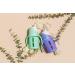 Glass Sippy Cup Set for Toddlers - 5oz - Spill-Proof Silicone Straw - Mint Green & Indigo Purple - BPA-Free - Buy Online on GoSupps.com