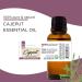 Cajeput Essential Oil 4 fl oz (118 ml) Glass Bottle w/Cap 100% Pure Essential Oil GreenHealth - Buy Online on GoSupps.com