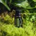doTERRA Shinrin-Yoku Forest Bathing Blend 15 mL - Relax & Rejuvenate | Premium Essential Oil for Aromatherapy | International Shipping - Buy Online on GoSupps.com