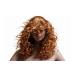Leonor Greyl Paris Frizz Control & Styling Serum - Light Conditioning Serum for Dry & Fine Hair (2.5 Oz) - International Shipping - Buy Online on GoSupps.com