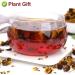 Plant Gift Natural Kunlun Snow Daisy Tea 40g141oz High Mountain Xueju Snow Chrysanthemum Flowers Herbal Tea - Buy Online on GoSupps.com