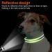 Joytale Reflective Dog Collar for Medium Dogs - Green Pack of 1 | Durable & Stylish - Buy Online on GoSupps.com