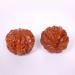 Buy Unbit Ballstretcher & Magnetic Stress Ball - Hand-Carved Walnut Baoding Handball for Massage & Fitness (45mm) - Buy Online on GoSupps.com