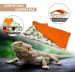 NW Reptile Sleeping Bag with Pillow Blanket for Bearded Dragon Leopard Gecko Lizard (Blue) - Buy Online on GoSupps.com