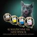 Sheba Sauce Collection Wet Cat Food - Fine Variety Multipack 32x85g (2.72kg) - Premium International Shipping - Buy Online on GoSupps.com