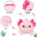 15.7 inch Pink Axolotl Soft Toy - Stuffed Animal Plush Pillow for Birthday & Christmas Home Decoration - Buy Online on GoSupps.com