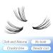 DZANIK Individual Lashes 240pcs D Curl 8-14mm Mixed 10D/20D Natural Look DIY Eyelash Extensions - Buy Online on GoSupps.com