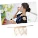 FRCOLOR Set of 2 Bridal Side Comb Hair Clip Slide Hair Comb Pen Hair Comb for Women Hair Accessories Cute and Cute Girls - Buy Online on GoSupps.com