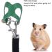 Asixxsix Hamster Dishwear & Leash Set | Synthetic Leather Crockery & Nylon Line for Guinea Pigs Hamsters Ferrets Chinchillas - 3 Sizes Available (Green) - Buy Online on GoSupps.com