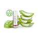 Buy ALOE LIPS Aloe Vera Lip Balm Set - 2 Pieces with 28% Pure Aloe Vera Gel | Forever Living FLP | Moisturizing & Soothing Lip Care - Buy Online on GoSupps.com