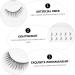 minkissy 5 Pairs False Eyelashes Eyelash Cosmetic Banana Hair Claw Clips Pink False Lashes Wispy Eyelashes Cross Eye Lashes Wheelchair Footrests Fake Lashes Tool Artificial Fiber Manual 3d - Buy Online on GoSupps.com