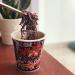 Dabak Noodles Ghost Pepper (Pack of 6) - Spicy Hot Chicken Ramen - Buy Online on GoSupps.com