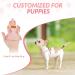 SlowTon Puppy Harness and Leash Set - Adjustable Lightweight Soft Dog Harness for Walking Training - XS Floral Pink - Buy Online on GoSupps.com