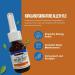 Buy Worldwide Nutrition Bundle Compatible with Kirkland Aller-Flo Fluticasone Propionate - 120 Metered Doses 0.54 Fl OZ Includes Keychain - Buy Online on GoSupps.com