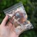 Home Bulk Mixed Natural Raw Crystal Quartz Rough Crystals s Gem Specimens Aquarium Home Decor (Color : 15-30mm Size : 200-300g) 200-300g 15-30mm - Buy Online on GoSupps.com