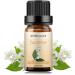 Buy Sedbuwza Jasmine Essential Oil - Pure Organic Jasmine Fragrance Oil for Diffusers Humidifiers Soaps Candles & Perfumes | 0.33 Fl Oz - Buy Online on GoSupps.com