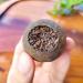 HELLOYOUNG 500g Th noir Pu-erh cuit m lang l' corce d'orange et de mandarine Aliment vert biologique chinois arri re-go t sucr de longue dur e - Buy Online on GoSupps.com