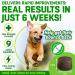 Dog Joint Care Supplements | 150 Chews with Green Lipped Mussel, Glucosamine & Chondroitin | Hemp Oil, MSM, Hyaluronic Acid, Manganese & Vitamins | Aids Stiff Joints | 1 Pot (150 Chews) - Buy Online on GoSupps.com