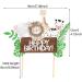 Jungle Animal Cake Toppers for Giraffe Lion Theme Party Happy Birthday Cake Topper Cupcake Decoration for Girls Boys Party Supplies for Jungle Theme Birthday Party(Multicolor) - Buy Online on GoSupps.com