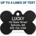 Personalized Rainbow, Black Steel, or Brass Dog Tags - Custom Engraved for Dogs and Cats | Fun Fonts | ID Tags (Pack of 1) - Buy Online on GoSupps.com