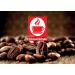 Bonini Dolce Gusto Compatible Ginseng Coffee Pods (Pack of 6 Total 96 pods) Ginseng 16 count (Pack of 6) - Buy Online on GoSupps.com