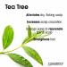 Buy Giovanni Cosmetics Tea Tree Triple Treat Conditioner - 314g | Best International Shipping - Buy Online on GoSupps.com