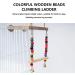 2pcs Bird Platform Stand Wooden Platform Play Exercise Stands Parrot Perches and Swing Bird Cage Toys Wood Swing Ferris Wheel Chewing for Parakeet Cockatiel Conure(size:1set) - Buy Online on GoSupps.com