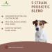 Probiotics for Dogs 120 Chicken Flavour Tablets - Advance Multi Strain Dog Probiotic & Prebiotic Tablets - Probiotics Supplement For Dogs With Added Digestive Enzymes - Buy Online on GoSupps.com