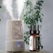 Miyuki Cinnamon Essential Oil 10ml | Pure Aromatherapy for Diffusers Cleaning & Yoga | Premium Quality International Shipping - Buy Online on GoSupps.com