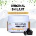 PRAACHYAE Pure SHILAJIT Organic Himalayan Resin 50gm | Digestive & Immune Support | Brain Focus | Energy Booster | Vegan | Fulvic Acid & Trace Minerals - Buy Online on GoSupps.com