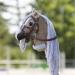 Panduro Hobby Horse Accessory | Martingale with Front Stirrup | Accessories for Stick Horses | Brown - Buy Online on GoSupps.com
