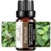 Patchouli Essential Oil 10ml - Aromatherapy for Diffuser Humidifier Massage Perfume & Bath - Pure Organic Patchouli Oil - Buy Online on GoSupps.com