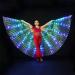 EMVANV LED Belly Dance Wing for Child - Light Up Isis Wings with Telescopic Stick for Carnival and Stage Performances - Buy Online on GoSupps.com