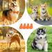 Dog Boots 4 Pcs Dog's Paw Protectors Wear Resistant Dog Boots for Injured Paws Waterproof Dog Shoes for Dog Walking Outside (Small) The Size is 0.79n*2.76in*1.57in/2cm*7cm*4cm - Buy Online on GoSupps.com