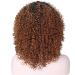 Curly Hair Wigs for Black Women | Natural Kinky Curly Afro Lace Front Wigs | Short Fluffy Wavy Human & Synthetic Options - Buy Online on GoSupps.com