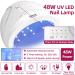 Buy Gelnail Starter Set - 48W Lamp 8 Colors Poly Gel UV Nail Polish Tips & Accessories for DIY Red Gel Nails - Buy Online on GoSupps.com