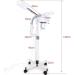 2 in 1 Facial Steamer Portable Professional Ionic Ozone Steamer with Magnifying Lamp for Beauty Spa Face Clean Skin Care Promote Blood Circulation and Sweep Sediment - Buy Online on GoSupps.com